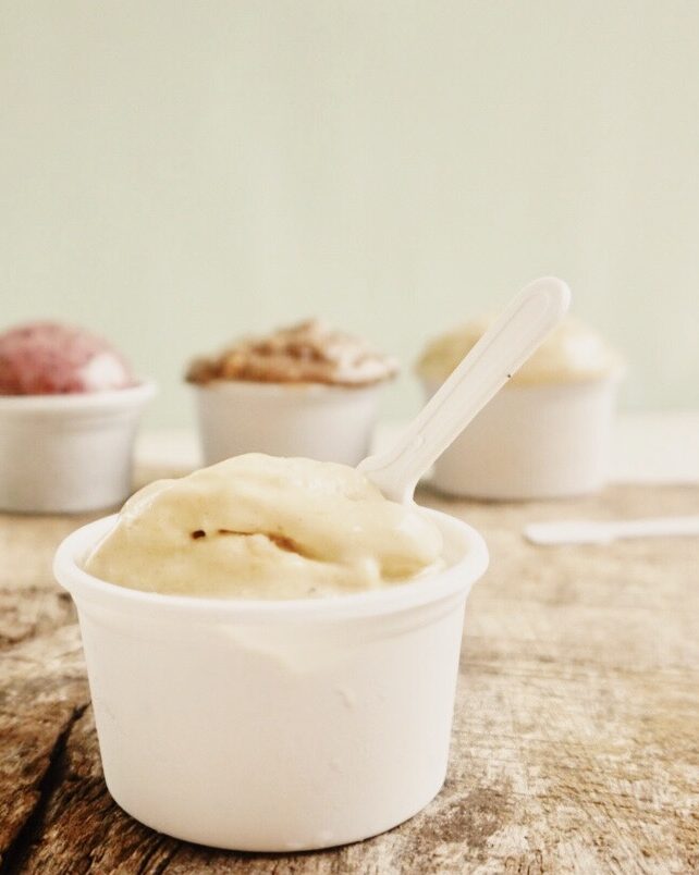 vegan ice cream + flavor options