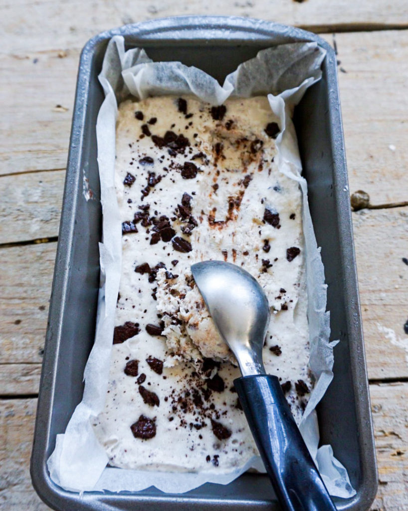 coconut nice cream with chocolate chips